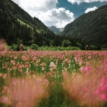 Haus Landart Apartmán