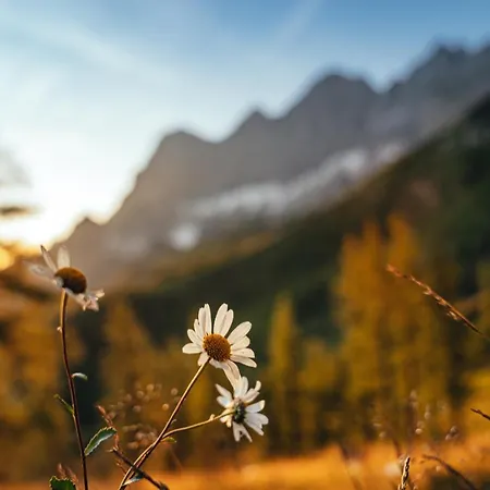 Haus Landart Apartmán *