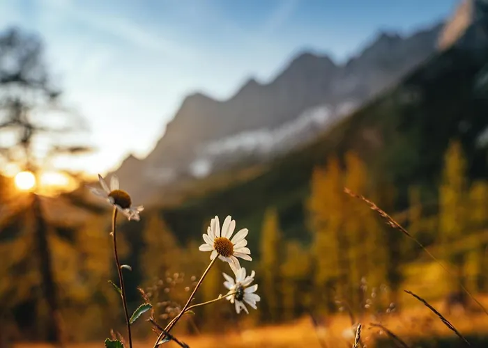 Haus Landart Apartamento *